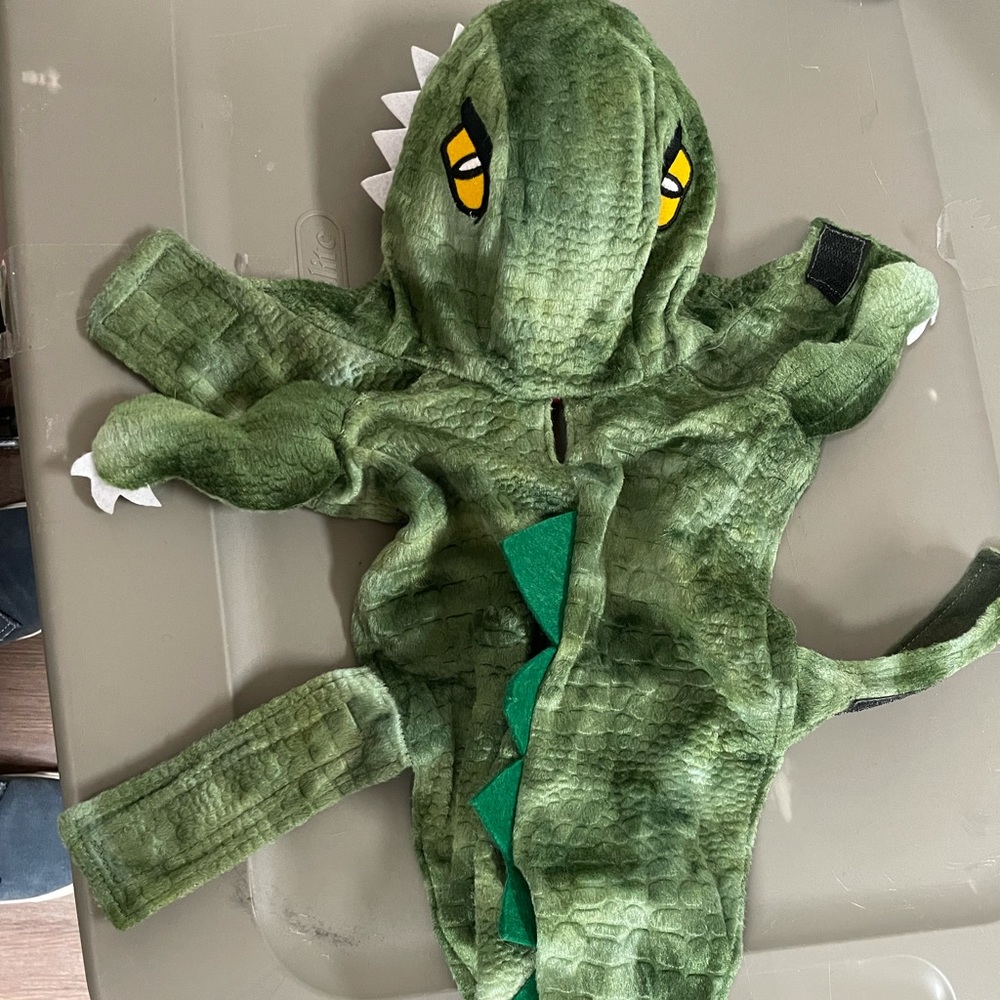 Small dinosaur pet costume